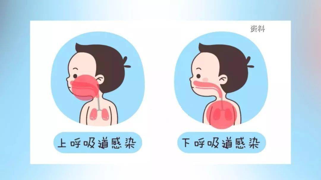 病因|这是真的吗？超级宝妈丨宝宝久咳会咳成肺炎