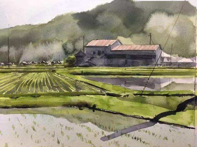 水彩画创作 每当确定主题后 他都会乘车到各地 不同时间和季节的稻田
