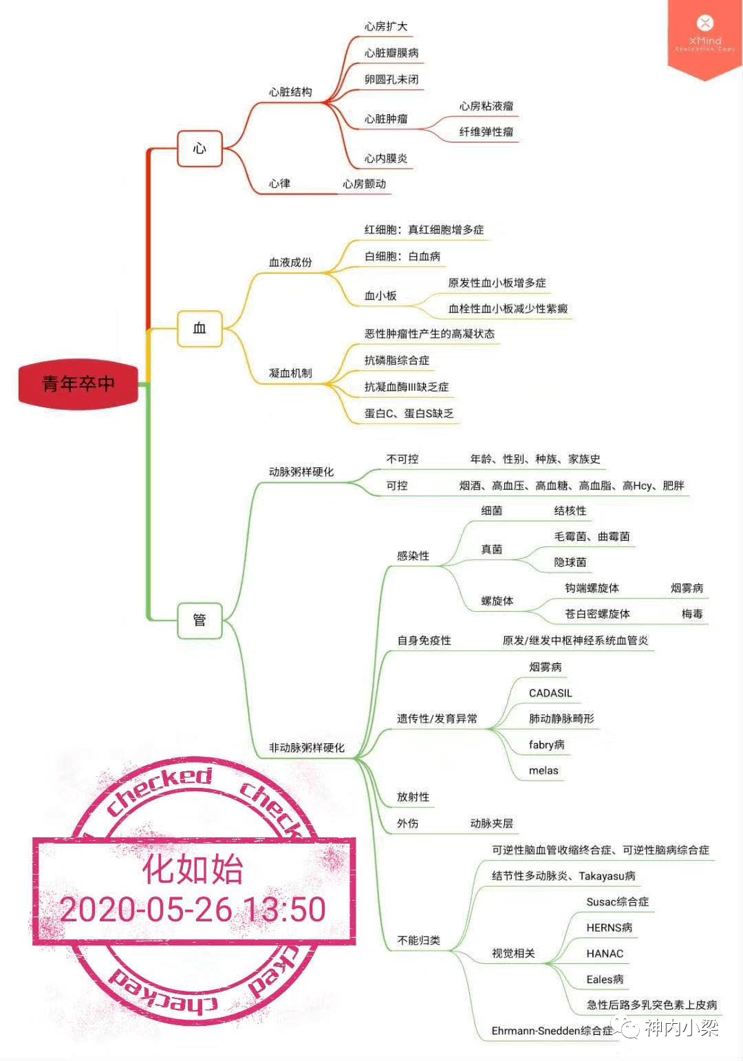 青年卒中思维导图