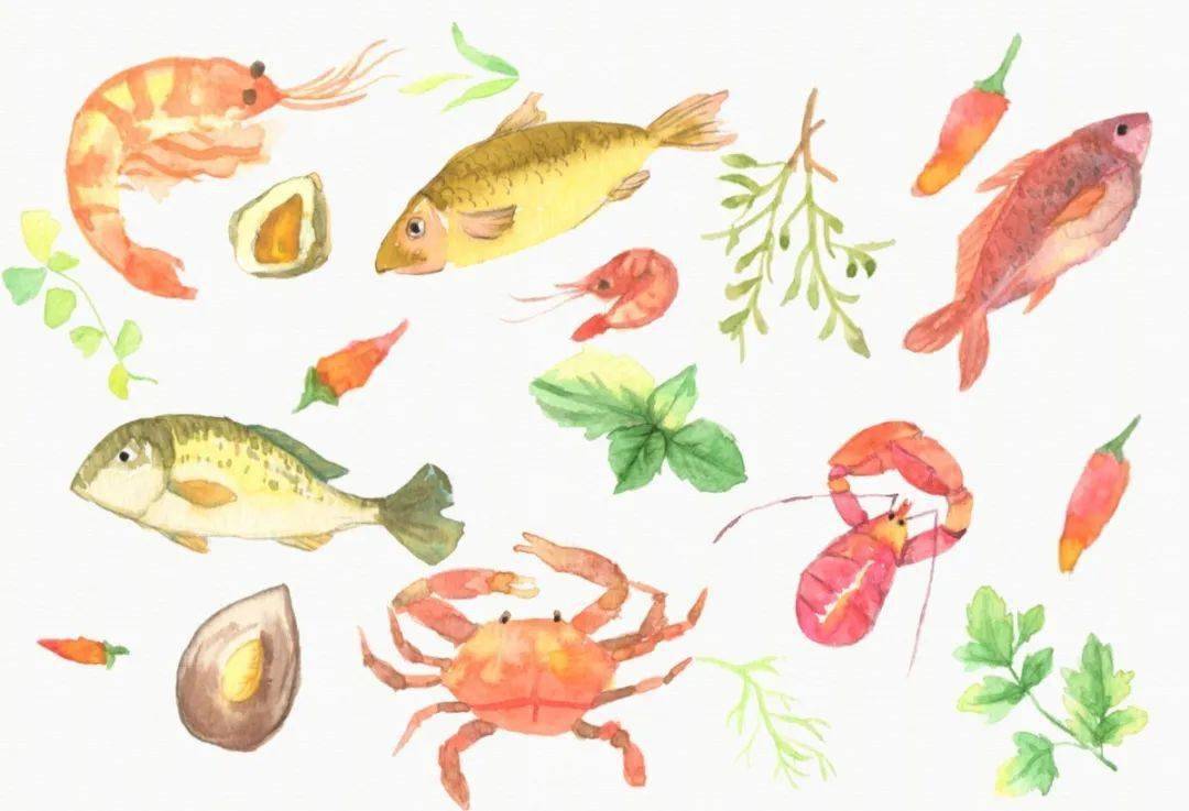 海鲜品牌排行榜_捞汁海鲜加盟排名榜,贩盒鲜生小海鲜实力品牌