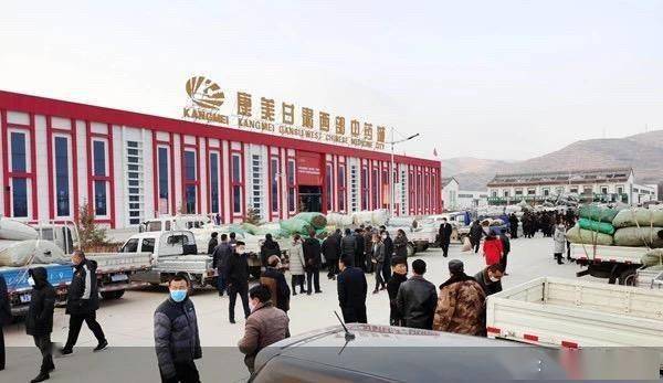 公司|国资“接盘” 康美药业下半场怎么走