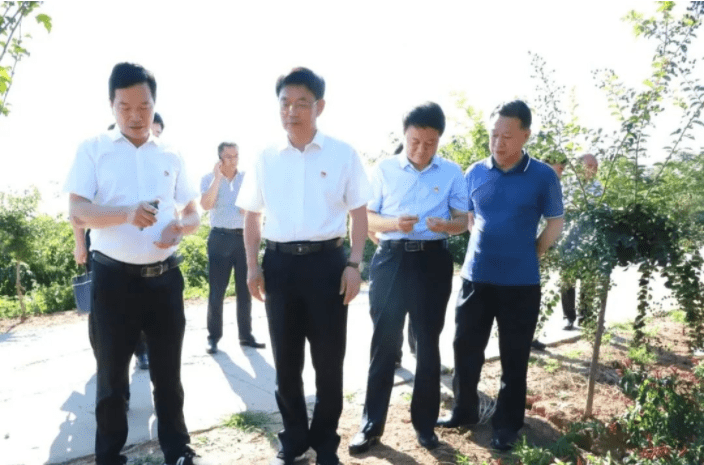 洪阳GDP_洪阳粿汁