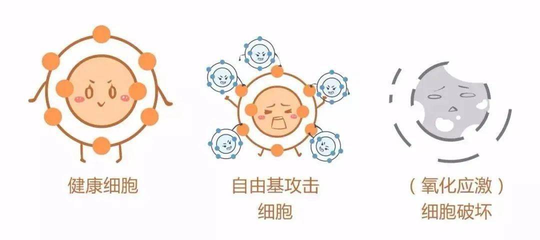 吴婉芳|53岁，她美成了高贵的典范