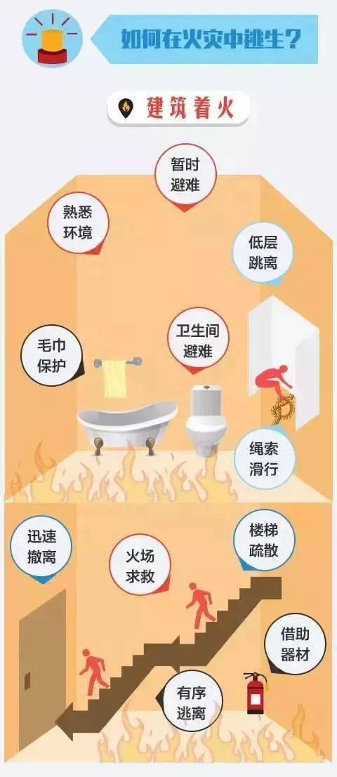 cc3f410cf8b94a73b7861dbdb0f03677.jpeg