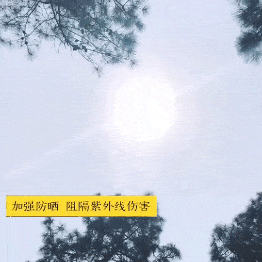 路人|撑这么漂亮的伞出门,经常被路人追着要链接!