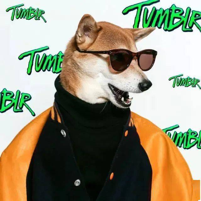 时尚|家住纽约、年仅四岁、年入百万？！？柴犬Bodhi实乃狗中富贵花