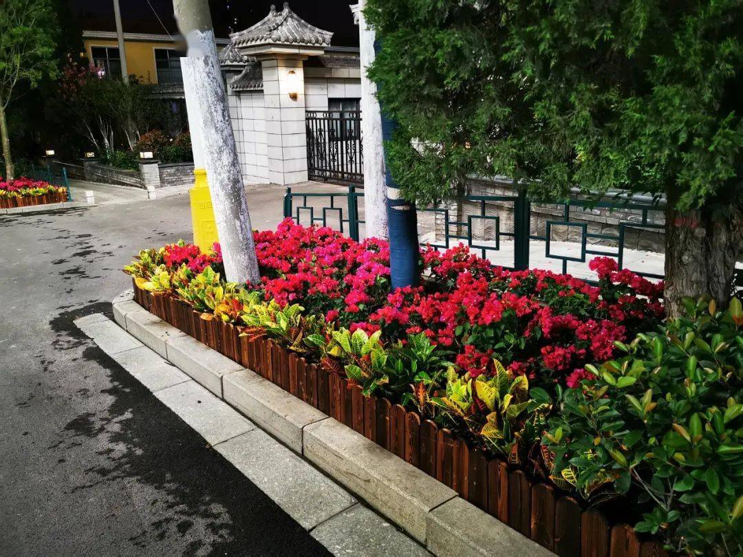 关注景观花箱扮靓城市道路颜值