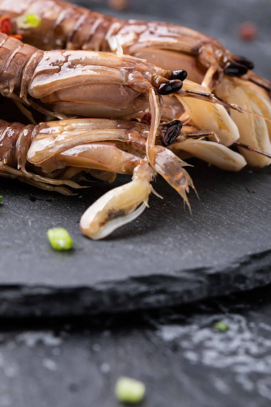 mantis shrimp 皮皮虾