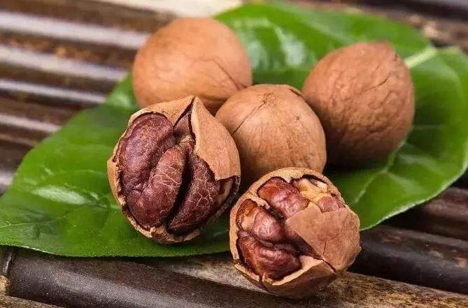 枇杷果怎么吃儿童 01470713584943df9b2d326e11459d09.jpeg