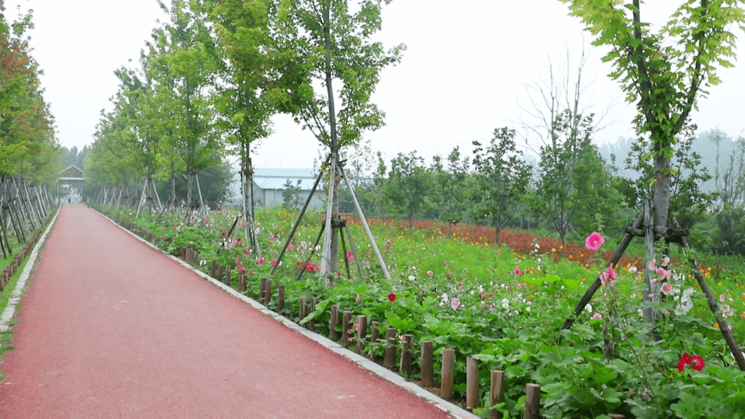 夏邑夏人口_夏邑城湖图片