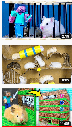 2亿播放量的仓鼠走迷宫成了youtube上的财富密码