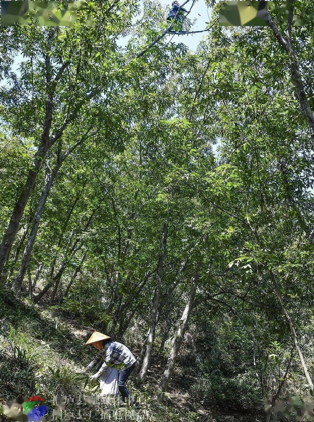 一起保持积极向上的状态 迎接诗意和收获的日子吧 文字:蔡美兰,许智灵