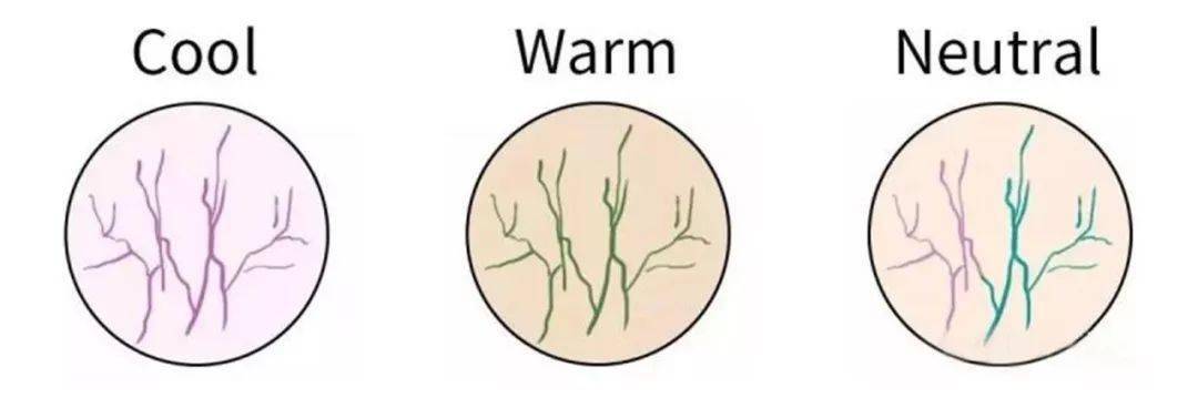 普通人|「发色」也该换季了!选对立刻显白3个度,普通人也能美出惊艳感!