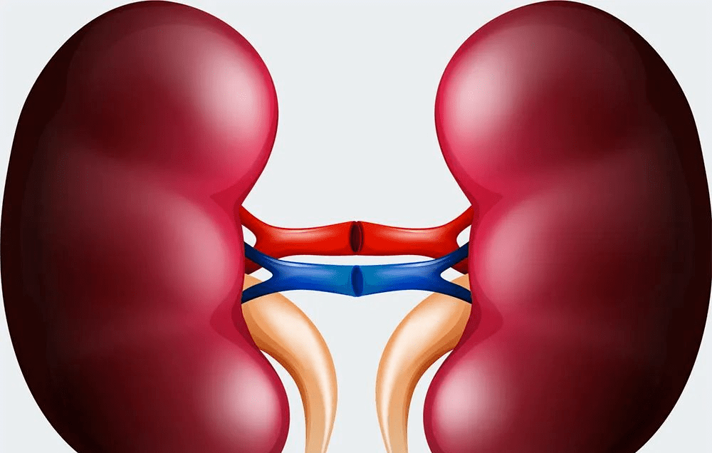 肾脏|上厕所时，若有这种异常，可能是你体内尿酸高了，需及时控制！