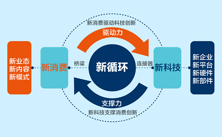 深圳虾皮信息科技有限公司gdp_最新城市排名 深圳变二线城市了(3)