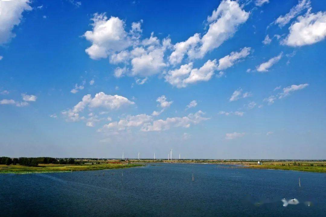 蒙城这个公园,秋景美到爆!