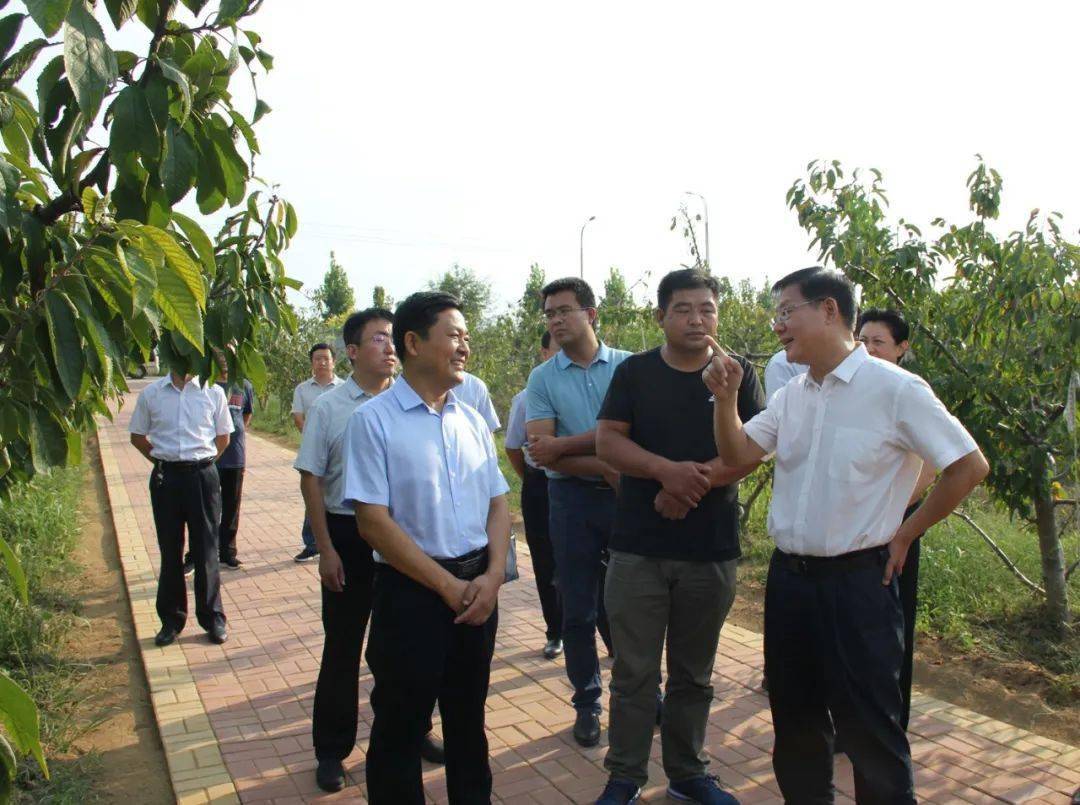 夏津县经济总量_夏津县地图全图(2)