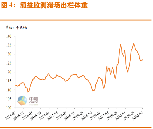 猪价期货市场 e2e240d450314b9d8190608fca2228bb.png
