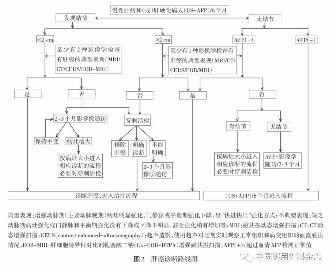 5 肝癌的临床诊断标准及路线图 结合肝癌发生的高危因素,影像学特征