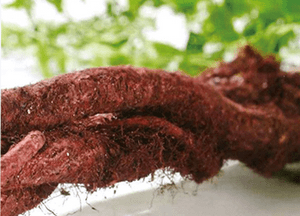 水宝宝|日本家庭主妇最爱的懒人面霜！3分钟让大干皮变成“水宝宝”！每7秒卖出一瓶，李佳琦疯狂打call！