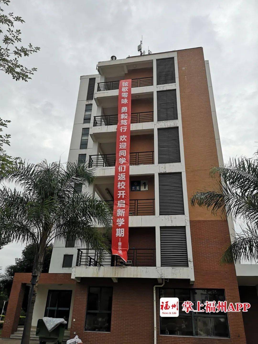 离校|戳心了！福州高校大型表白现场……