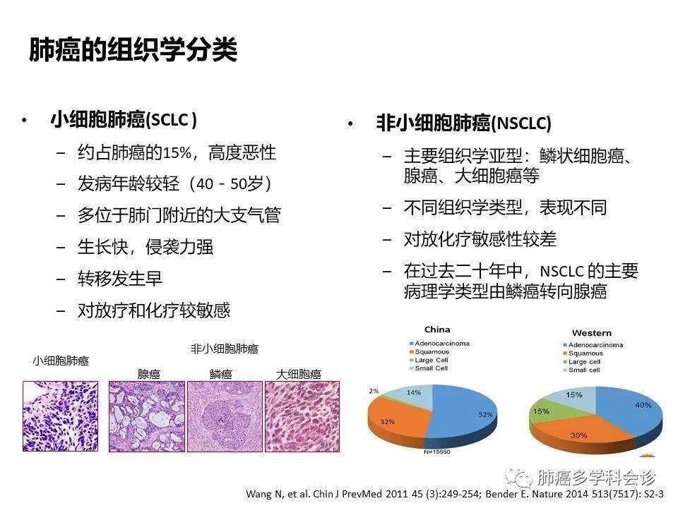 非小细胞肺癌基础知识和治疗