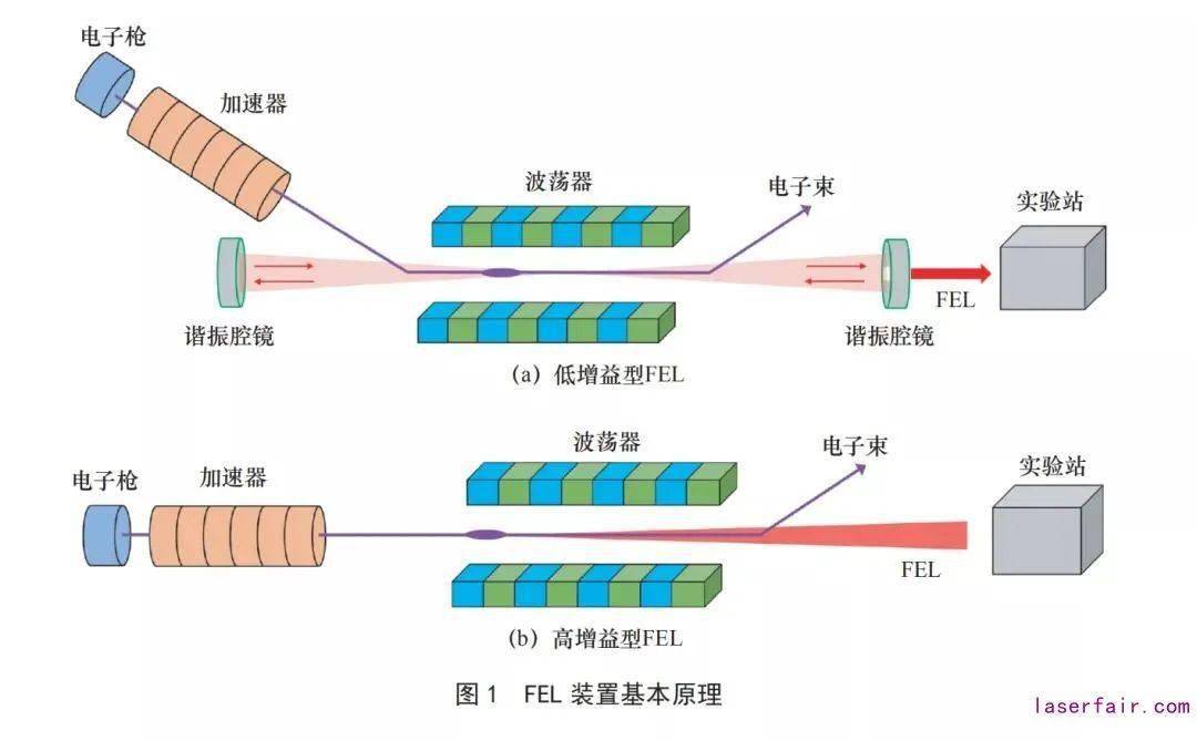 波荡器和光束线系统三部分(见图 1),基于加速器产生的相对论电子束