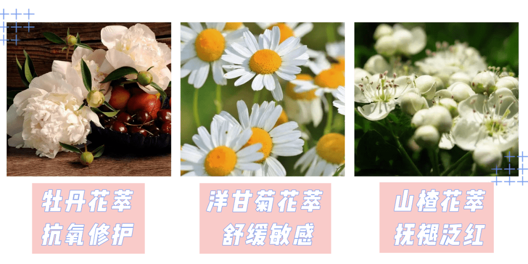 产品|为什么你的脸越来越大？原来都是因为这一点没做好？