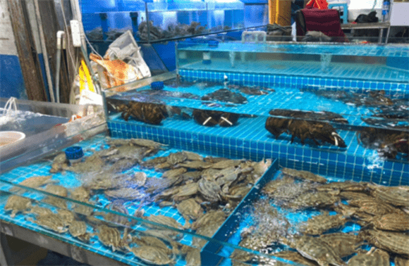 价格|济南中秋节前螃蟹市场货紧俏，价格还算适中