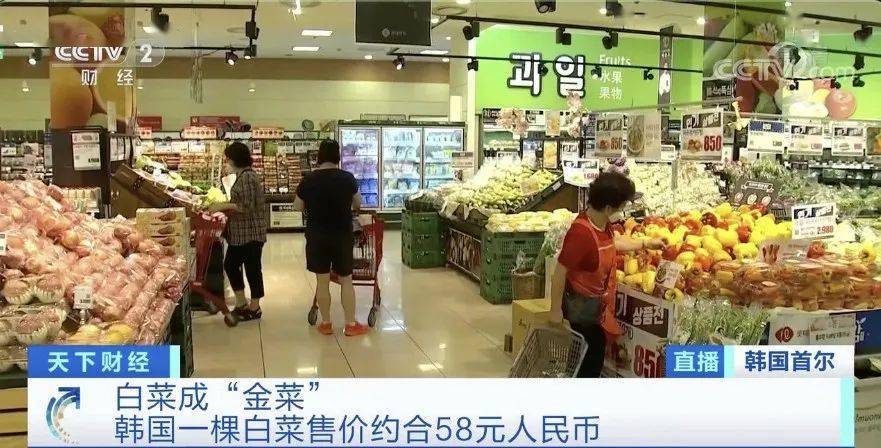 白菜|韩国两伙盗贼在同一块地里偷菜 咋回事儿？