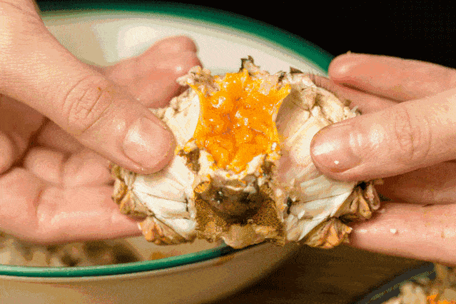 7d9ceae0a3694cf582d3d3bb64ac879b.gif