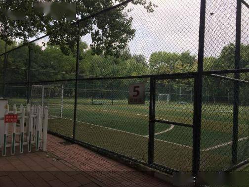 家长|北京校区直营门店停课 巨石达阵陷入关停“罗生门”