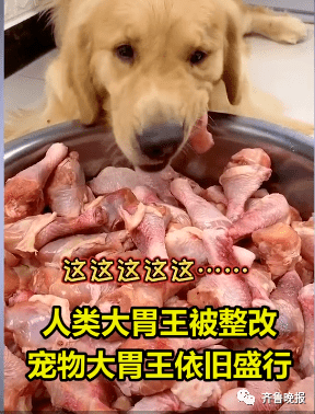 98a1dafa00e245f694c2d0248fa61447.png