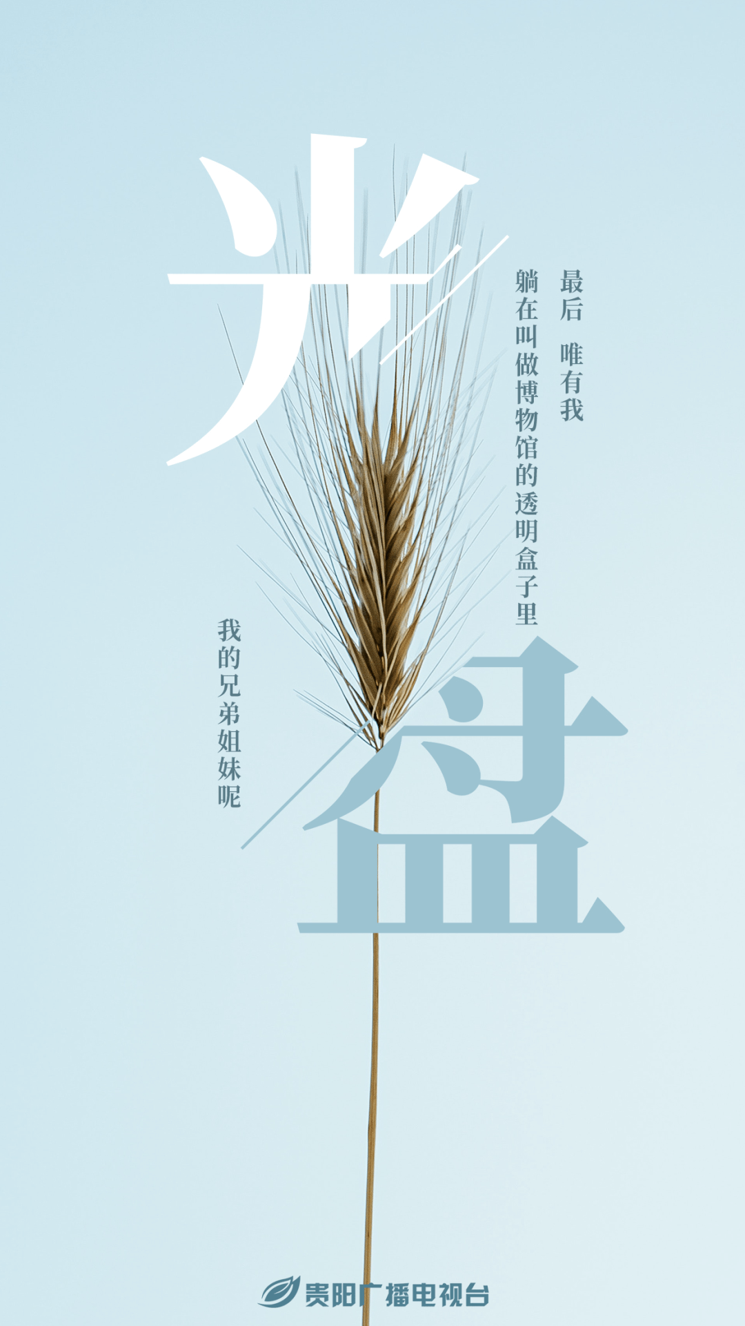 微海报丨光盘行动 从我做起