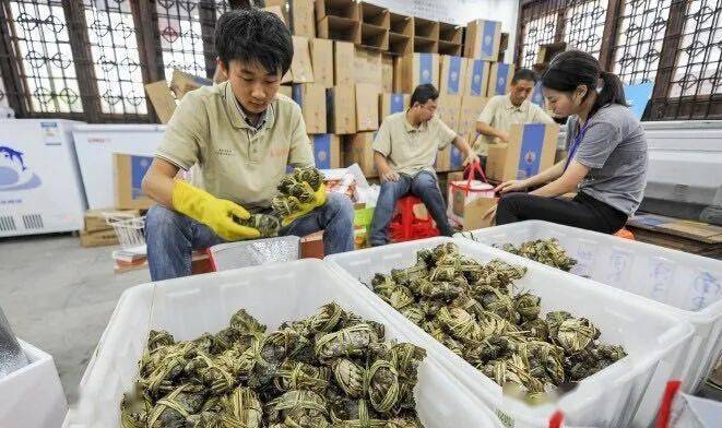 高淳2018年经济总量_高淳区2020年规划图(2)