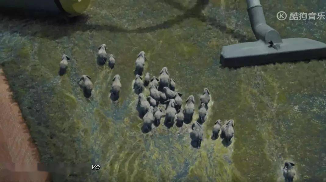 画面|这年头还能边看歌曲MV边学摄影了？太赞了！