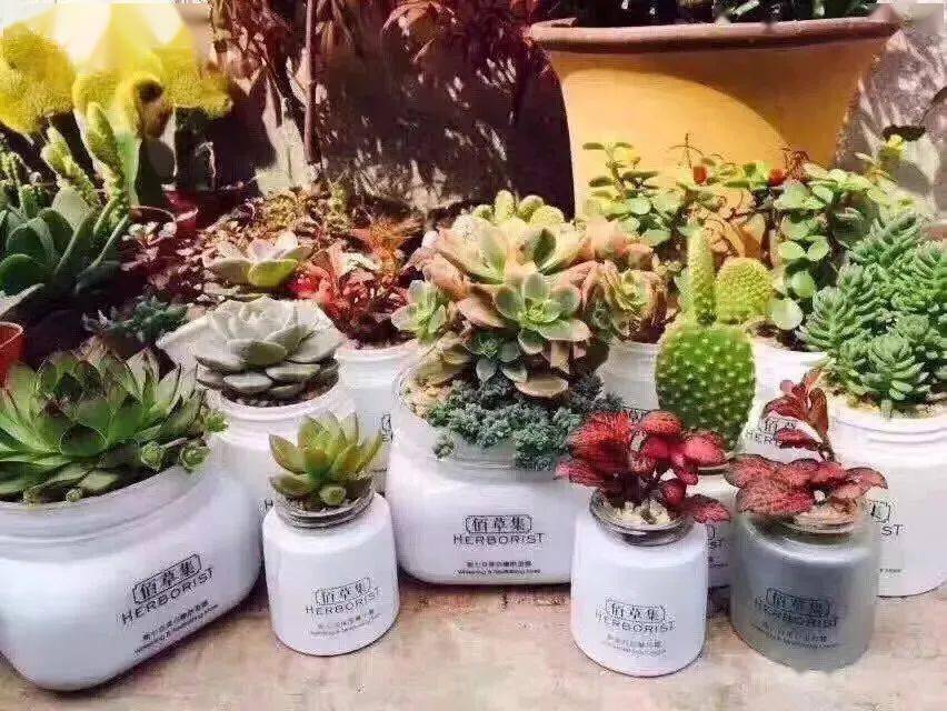 化妆品塑料包装盒_化妆品塑料盒是什么垃圾_塑料化妆品盒