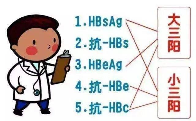 病毒|一分钟带你读懂“乙肝两对半”！
