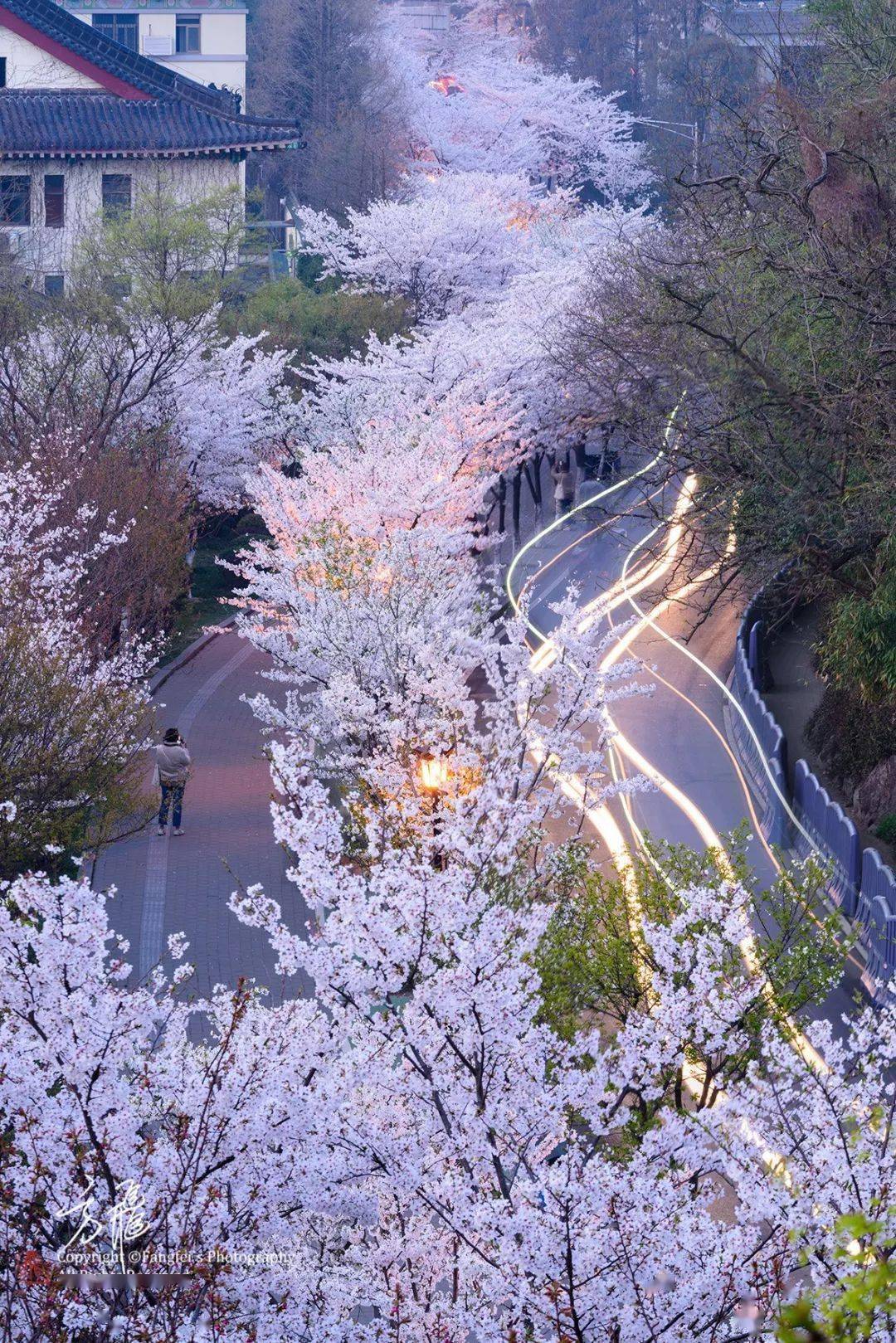 玄武区GDP2020_南京市玄武区地图(2)