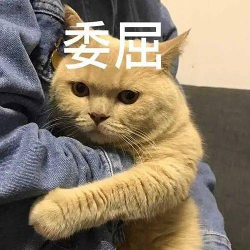 a4954e8f731040f7bc066c9e8da431f2.jpeg
