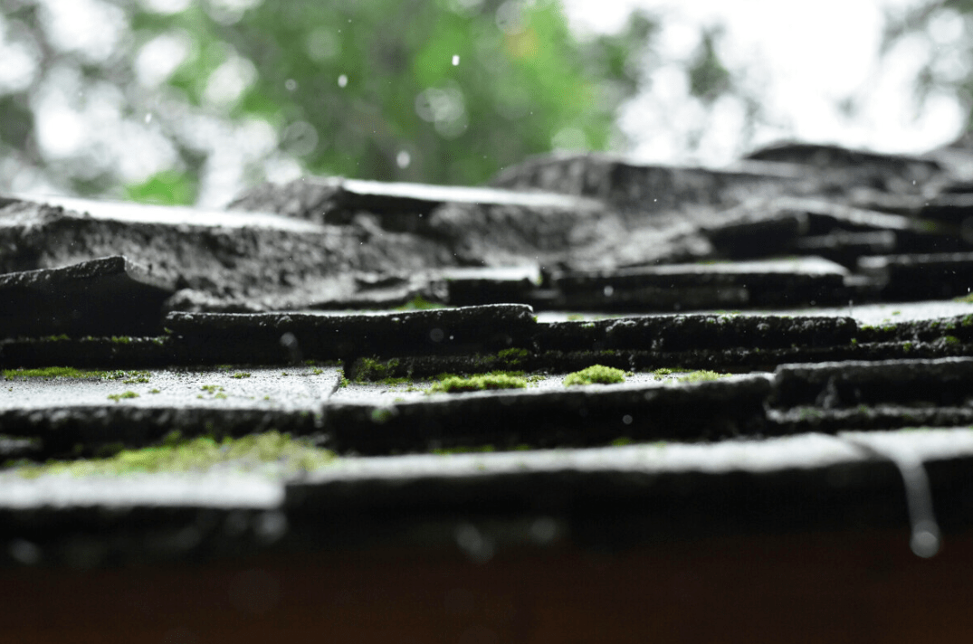 我是在乡下农村长大的孩子,每当下雨的时候,母亲总是害怕雨会越下越大