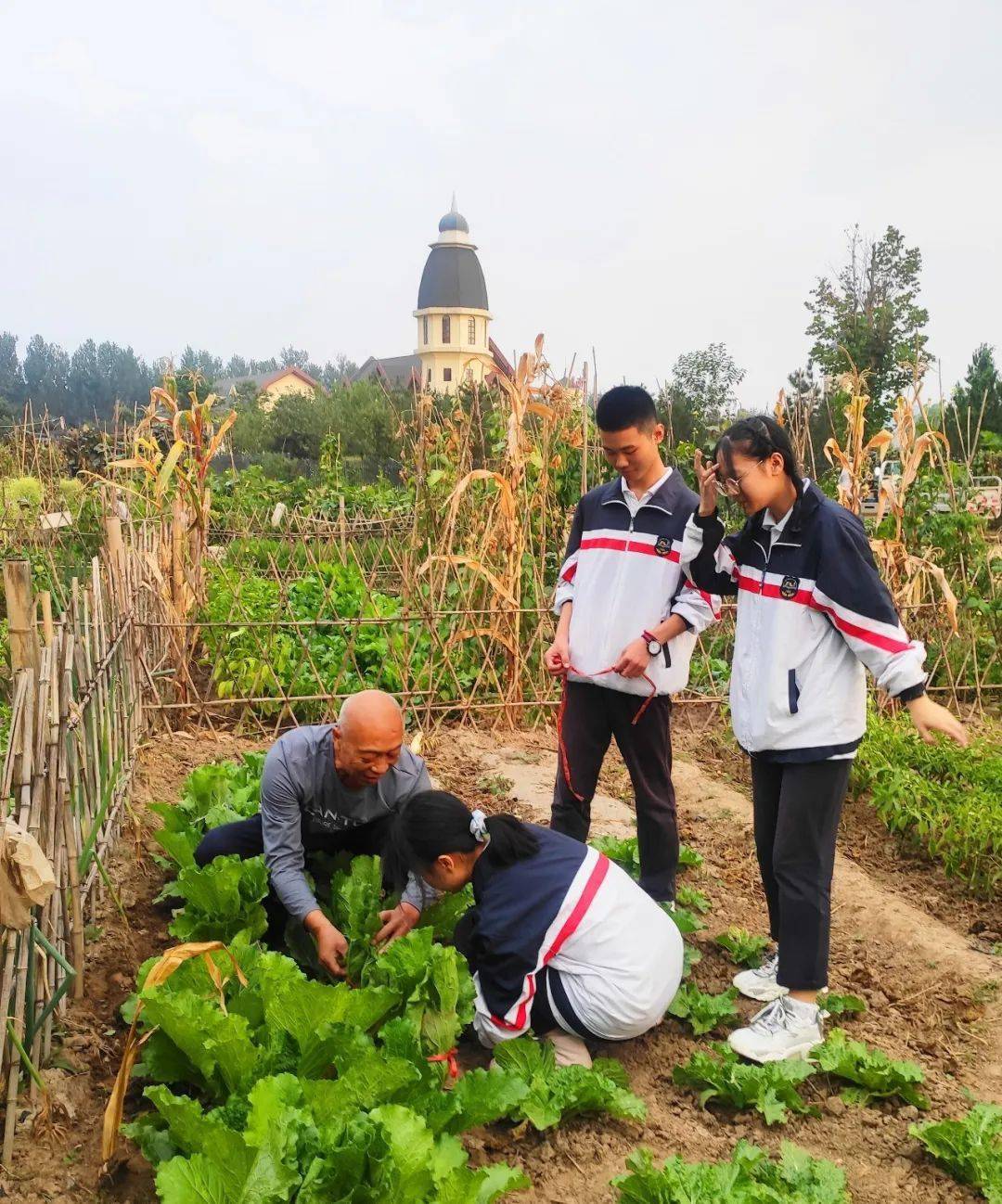 【奋进五中】建立劳动教育基地,构建全面培养体系——