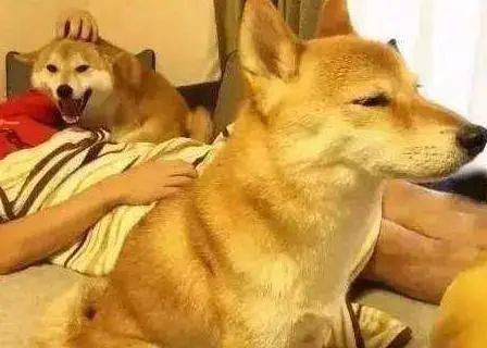 0803af8ee7d7426da7030f865bc9eab9.jpeg