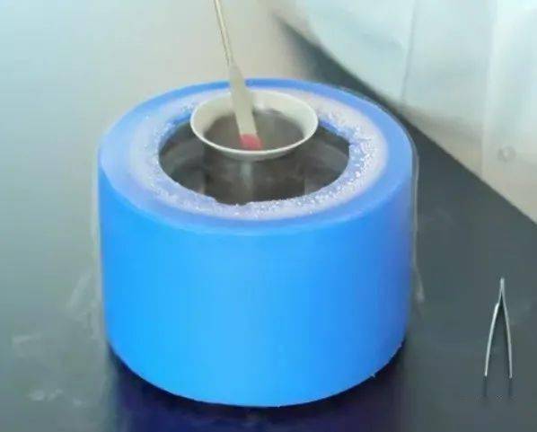 空间转录组的包埋实验与注意事项 搜狐大视野 搜狐新闻 