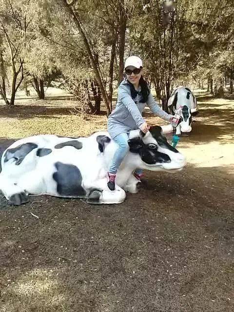 饮食|从小就胖，8周改变，管住嘴迈开腿就像打开新世界的门