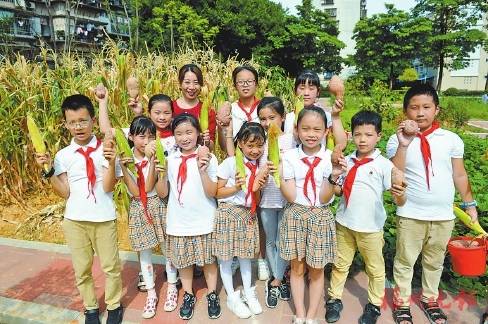 劳动|全市首个校园“丰收节”启动