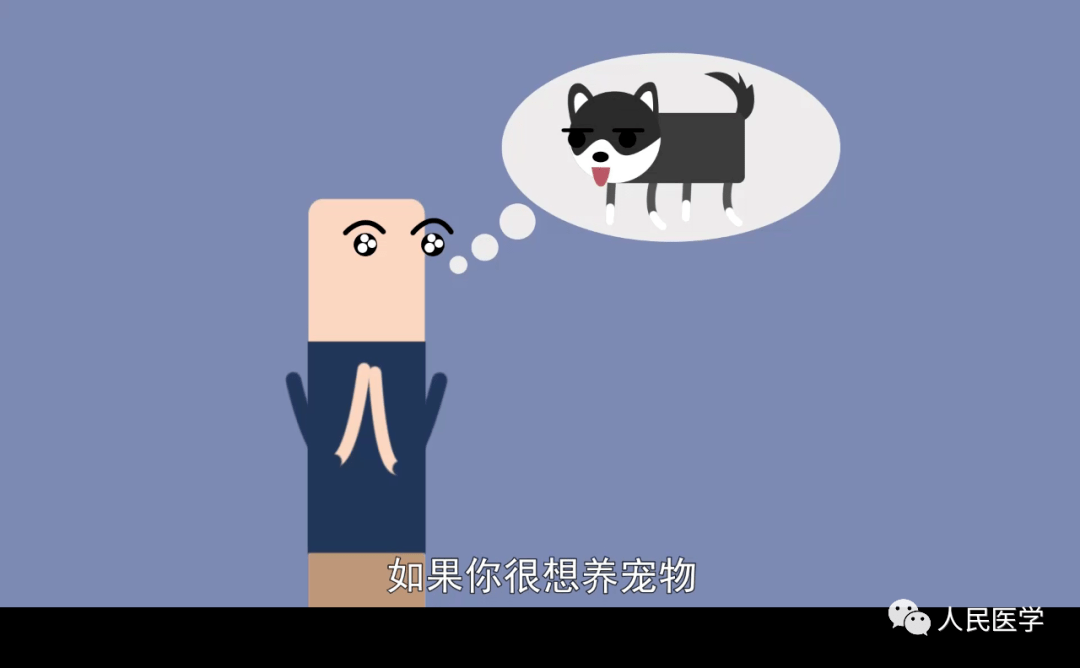 养猫|如何说服父母让你养宠物，告诉他们养宠物能让自己更健康