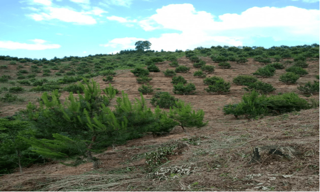 江华县2020年GDP_江华县地图(3)