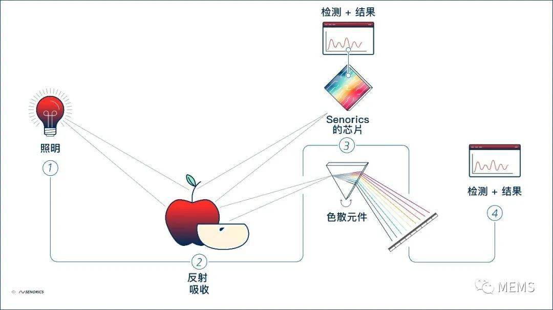 曲谱瑞克_瑞克和莫蒂(3)