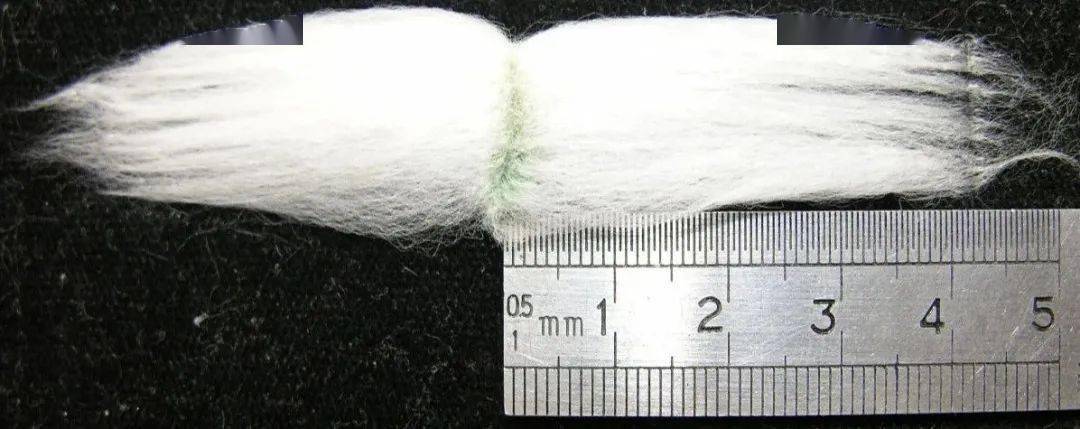 影响棉花纤维品质的主要因素